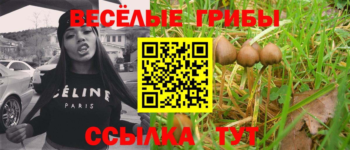 Гусь-Хрустальный  Псилоцибиновые грибы Cubensis  Вход с VPN 